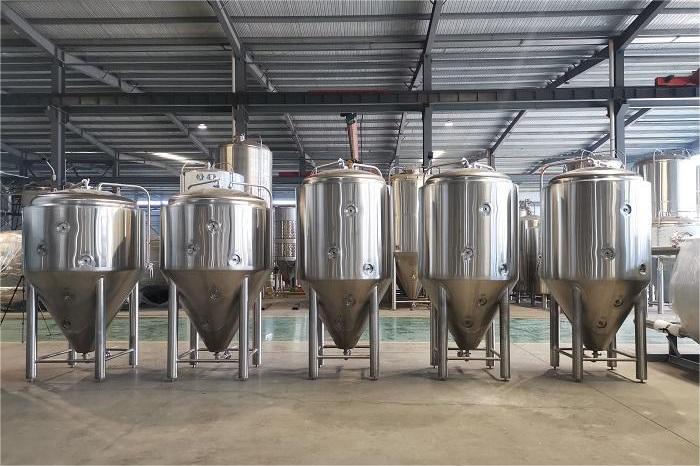 主發酵過程中有哪些關鍵要素？